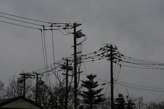 IMG_8579.JPG