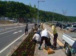 花植1.jpg