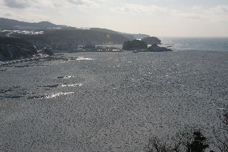 2009X