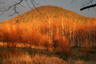 IMG_8587.JPG