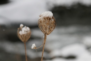 IMG_8659.JPG